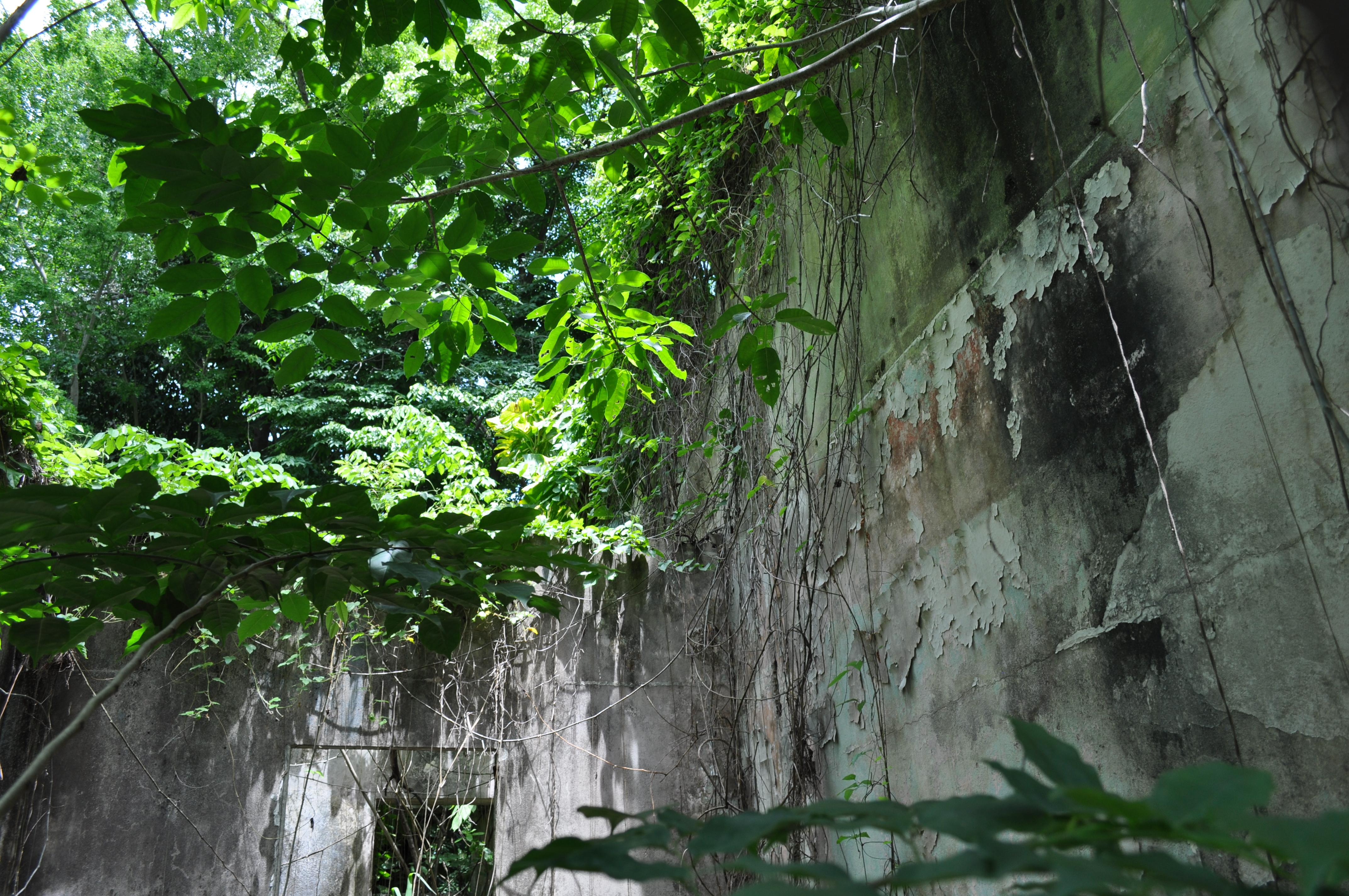 Antigua Lechería y Residencia de la Facultad de la Universidad de Puerto Rico - San Juan (Río Piedras) - 2014 00009